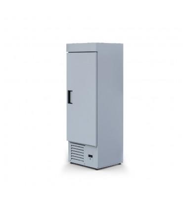 Dulap vertical frigorific Ewa 500.P, ușă metalică, răcire ventilată, +1/+10°C, L620mm, Igloo